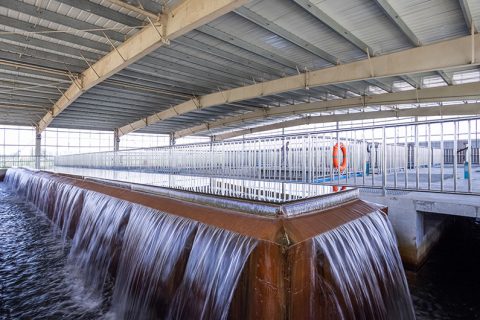 怎么保养多职能微型过滤机？